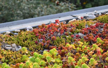 the cost of Mappowder green roof installation