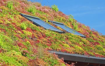 Mappowder living roof systems