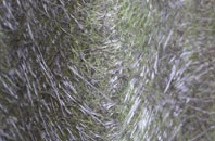 Mappowder fibreglass roof work